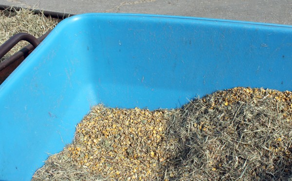 こだわりの飼料