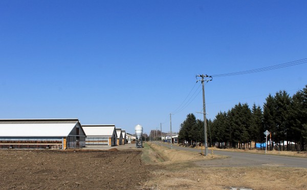 牧場の南側から