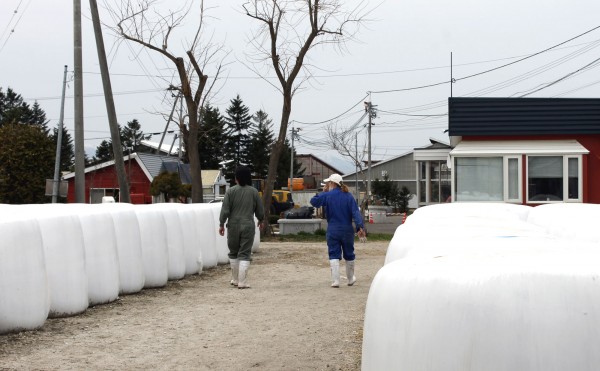 これからお昼♪