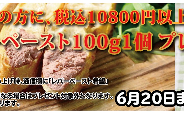 ６月２０日までご希望の方に、税込10800円以上お買い上げでレバーペースト100g1個 プレゼント