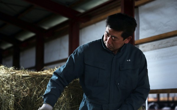 ポスター用写真