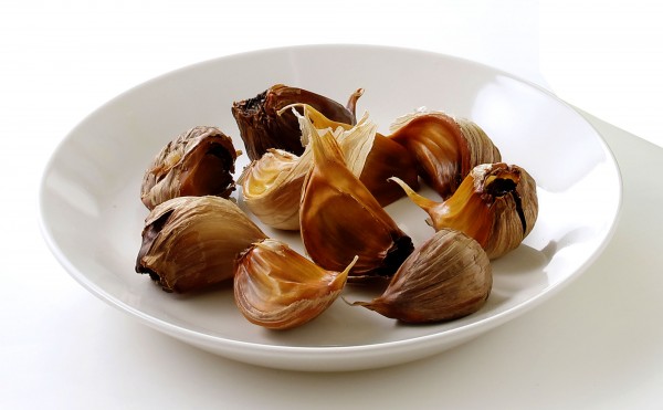 プレゼント企画