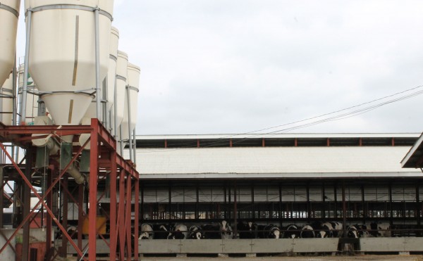 雨のち曇りのち雨