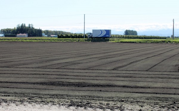 何もありません