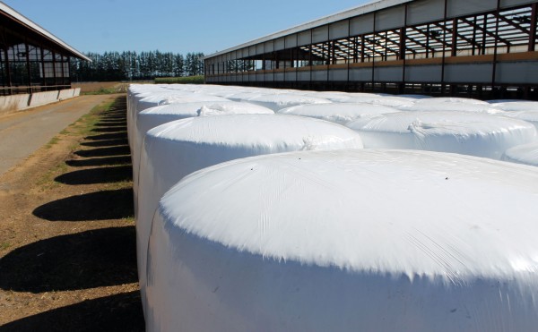 新しいラップサイレージ