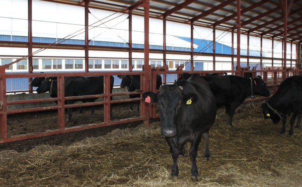 秋の日はつるべ落とし