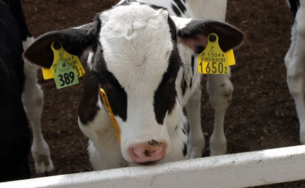 冷え込みました