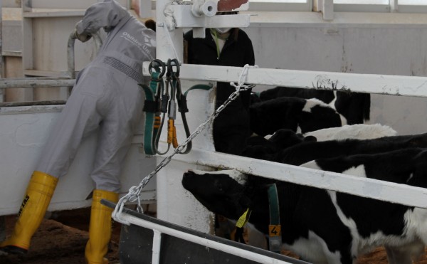 アルバイト女子学生