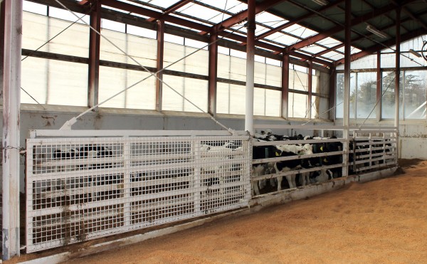 オガクズの入れ替え