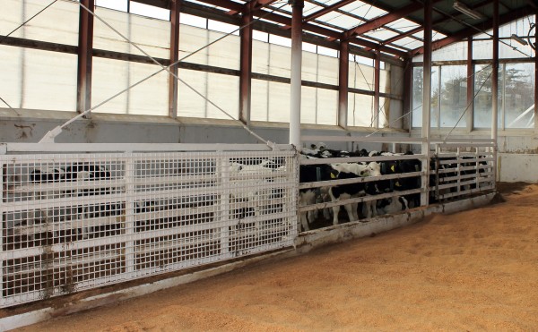 もう少し待ってね