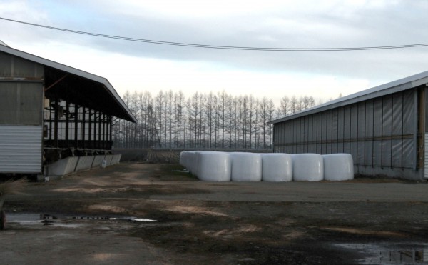 日の入り15時52分