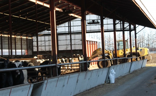 オガクズ入れ替え