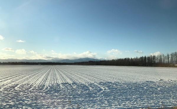 ありがとうございました！