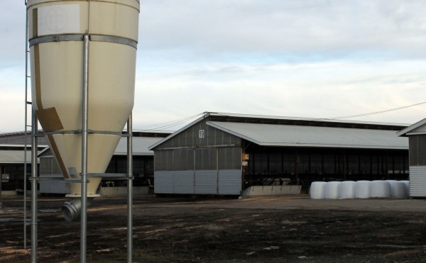 雪置き場の予定