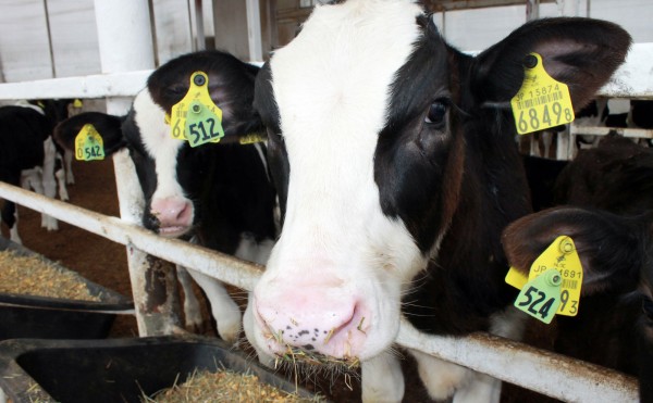 感謝いたします