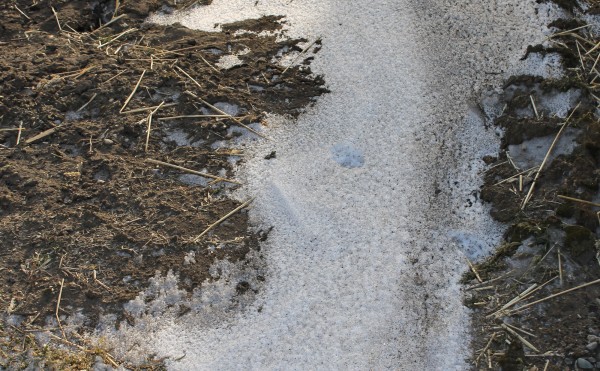 寒風吹きすさぶ１月