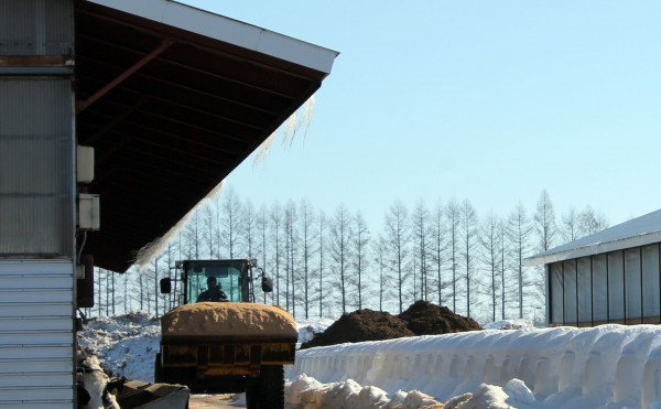 オガクズ入れ替え