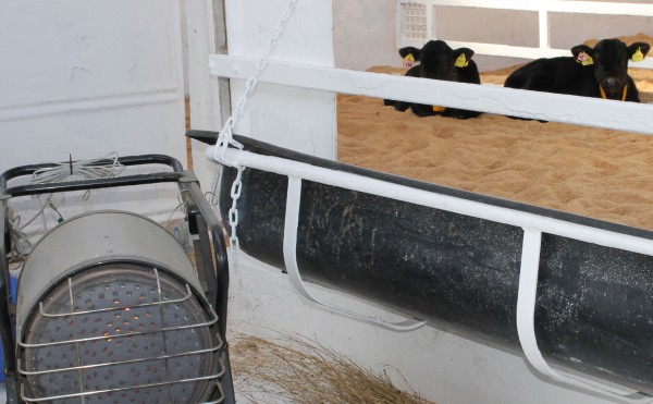 暖かくはなったけれど