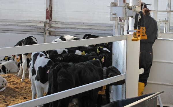 アルバイトの畜産大学生