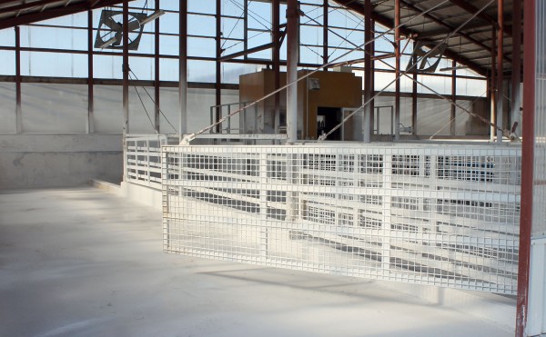 哺育舎の清掃後