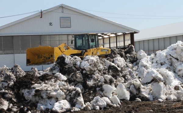 雪割りならぬ雪崩し
