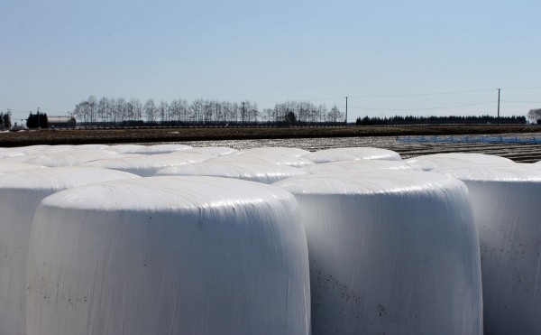 ラップサイレージ