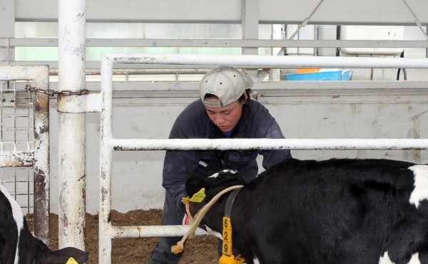 ニューフェイスです