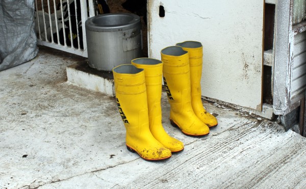 行儀よく並んだ