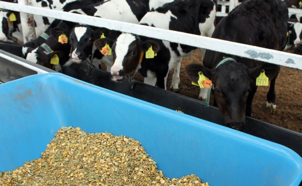 こだわりの飼料