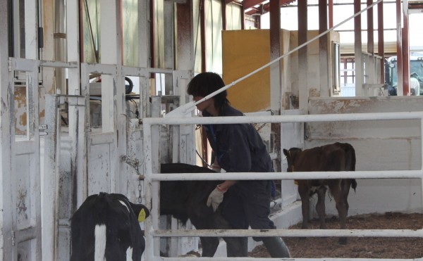 哺乳ロボットをサポート