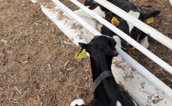 厳しい自然の中で