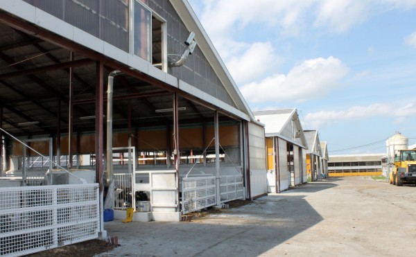 戻ってきた青空