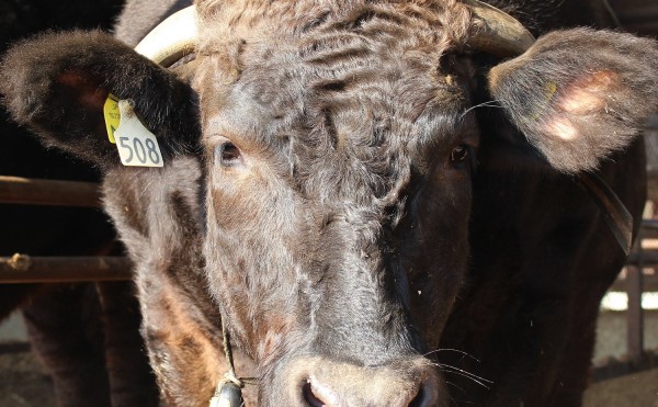 鹿児島大会へ出発