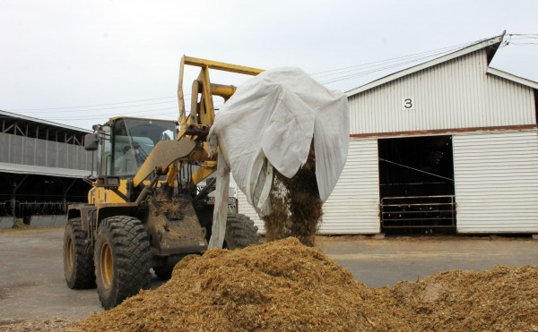 ラップサイレージの開封