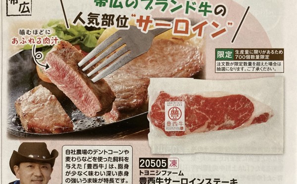 トドックに豊西牛