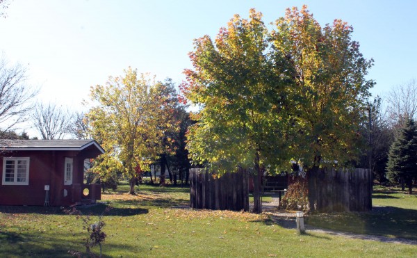 落ち葉舞う中庭