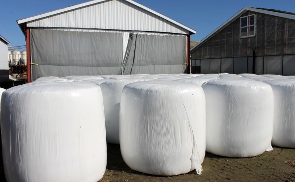 新作ラップサイレージ