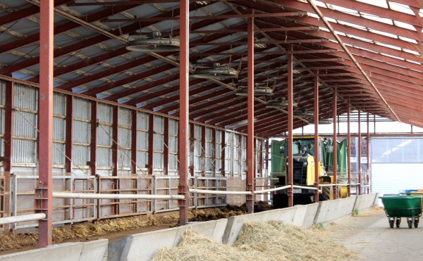 牛舎にショベルカー