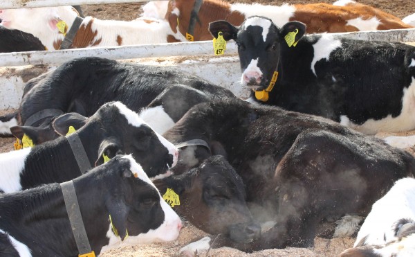 息の白さと室温