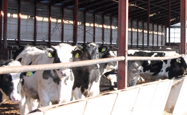 厳寒期の給水器