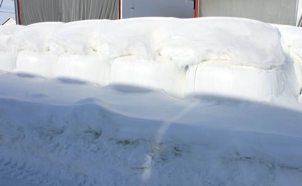 寒くて雪が多い冬