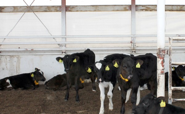 警戒されました