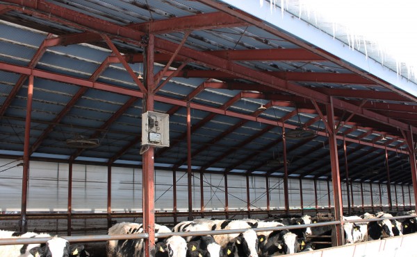 屋根から雪どけ水