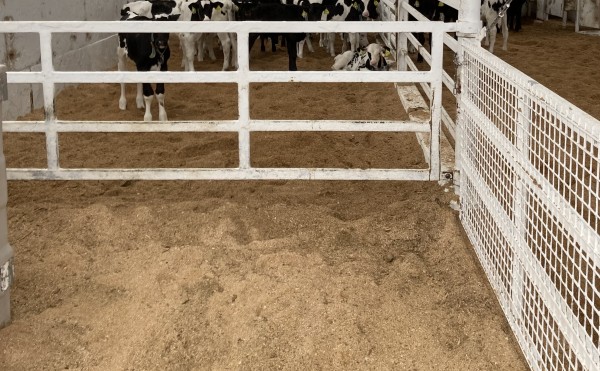 驚かすつもりはなくても