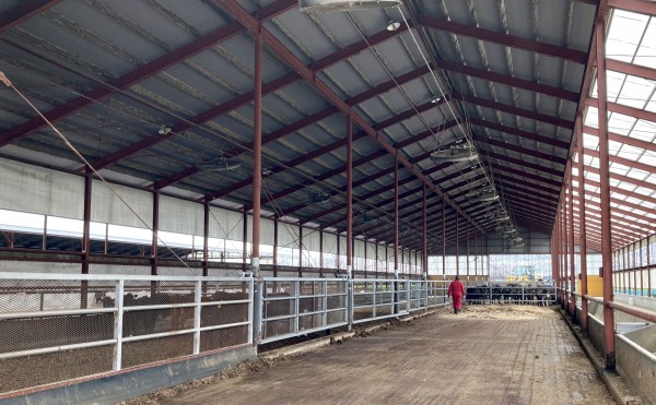 牛舎のオガクズ交換