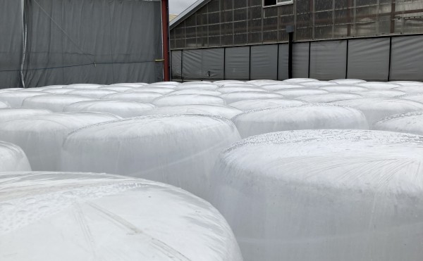 ラップサイレージ