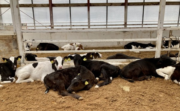 ４か所で北海道展スタート