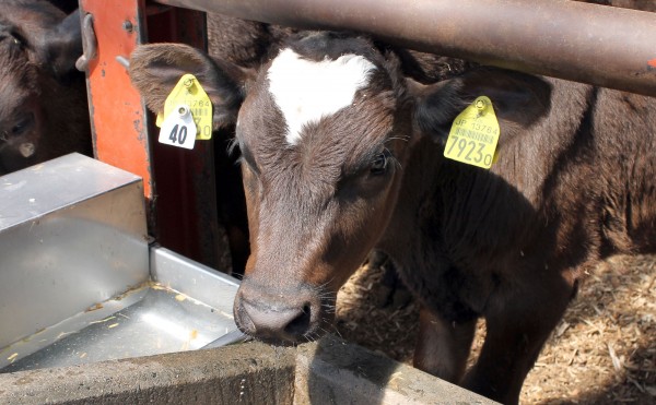 晴れたり曇ったり