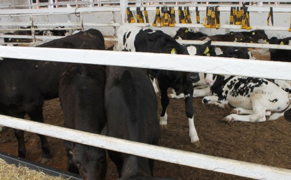 僕たち、離乳しました