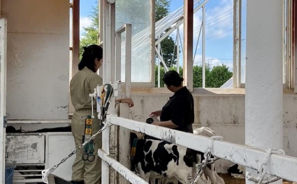 アルバイト大学生